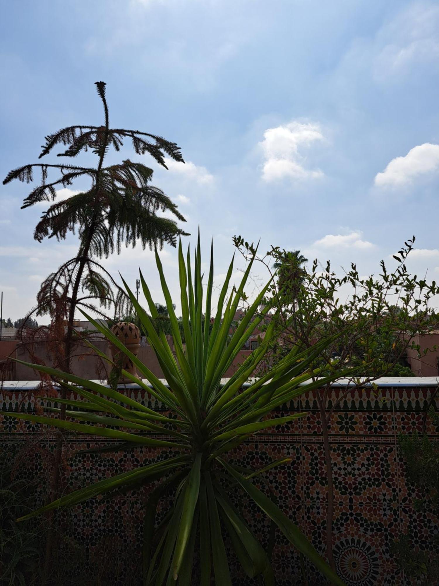 Riad Berchid Hostel *